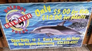 Baywatch Dolphin Tour