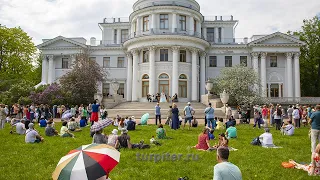 Фестиваль тюльпанов на Елагином острове в Санкт-Петербурге: Музыка у Дворца.