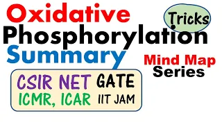 Oxidative phosphorylation and its mechanism