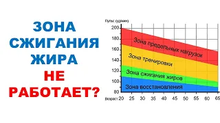 Тренировка НЕ УСКОРЯЕТ окисление жира за сутки / Научный эксперимент