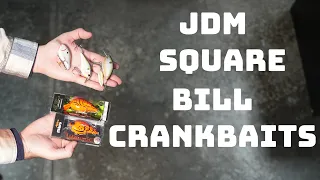 5 Under The Radar JDM Square Bill Crankbaits That Guys Don't Know About!