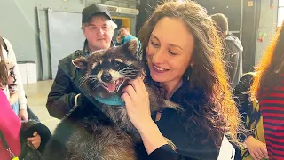 Adventures of Timofey raccoon at the Reptilium 2022 exhibition