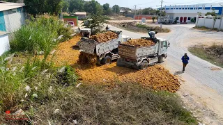 Wonderful Project Thick Grass Also Has Water Filling Of Clutter​ Rocky Soils With Skills D20P Dozers