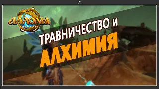 Аллоды Онлайн - Алхимия для новичков. Аллоды онлайн - травничество. Голд фарм на алхимии и траве.