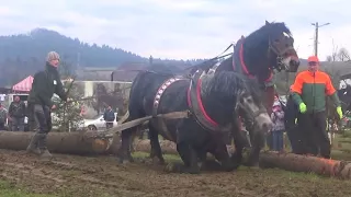 Tarzan a Herkules, víťazi ťažkého ťahu! (Hričovské Podhradie 2018)