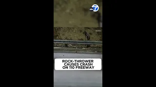 Rock-thrower causes crash on 110 Freeway