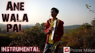 Ane wala pal | Melodica cover