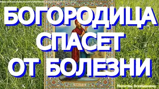 Просите сегодня исцеления у Богородицы пред ее Боголюбской иконой. Заступница слышит каждого