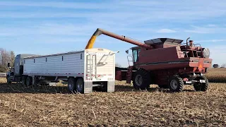 Finishing Harvest 2023 A Bumper Crop Year