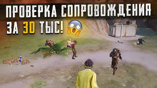 30.000 ТЫСЯЧ РУБЛЕЙ ЗА ПРОВЕРКУ СОПРОВОЖДЕНИЯ😱 ВЫ ЧТО ТВОРИТЕ?САМЫЙ ЧЕСТНЫЙ ОБЗОР НА СОПРОВОЖДЕНИЕ😎