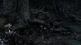 Skyrim - The creepiest glitch you'll ever see