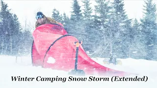 Winter Camping in a Snow Storm - Blizzard Wilderness Backpacking the North with Cold Tent (Extended)