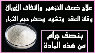 علاج ضعف التزهير وقلة العقد، وتشوه وصغر حجم الثمار بنصف جرام من هذه المادة|علاج تساقط الازهار والعقد