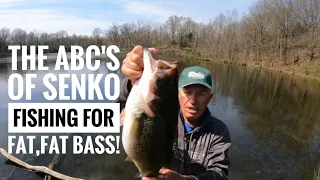 ABC's of bank Senko fishing for fat, fat Bass!