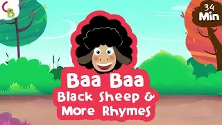 Baa Baa Black Sheep and Many More Kids Songs - Popular Nursery Rhymes Collection by Cuddle Berries