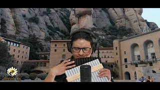 I'M ALIVE - CELINE DION (Cover Panflute - ERNST CQ)