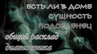 ЕСТЬ ЛИ В ДОМЕ СУЩНОСТЬ??/ общий расклад- диагностика/ колода Дыхание Ночи.