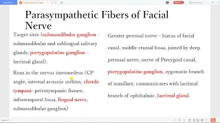 Understanding the Facial Nerve and its clinical relevance