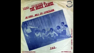 JESS JUNIOR & THE GREEN LEAVES- „Ik voel mij zo eenzaam“ – BELGIUM 1971 – Teenage Garage Ballad 45