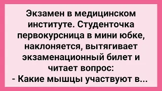 Студенточка Отвечает Профессору на Билет! Сборник Свежих Смешных Жизненных Анекдотов!