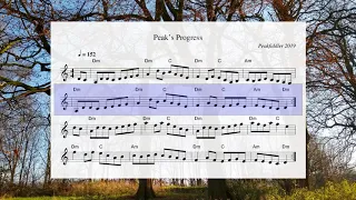 Irish Fiddle - Peak's Progress Backing Track - 2/2