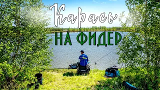 Рыбалка 2021. КАРАСЬ на фидер. Прикормка для КАРАСЯ и лучшая НАСАДКА на карася. #65 Feeder Fishing