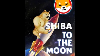 ¿Llegó el momento de Shiba Inu?