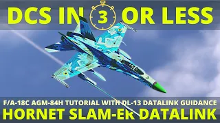 Hornet SLAM-ER Datalink Tutorial - F18 AGM-84H SLAM-ER With DL-13 Datalink - DCS in 3 Or Less