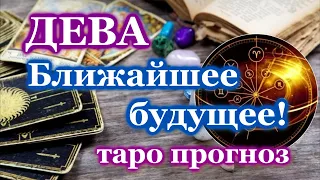 ДЕВА ТАРО ПРОГНОЗ на БЛИЖАЙШЕЕ БУДУЩЕЕ  РАСКЛАД  ГОРОСКОП  ГАДАНИЕ  СОБЫТИЯ  ЭТО ВАЖНО ЗНАТЬ!