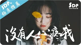 陳雪凝 - 沒有人心疼我「高音質 x 動態歌詞 Lyrics」♪ SDPMusic ♪