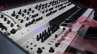 Oberheim Four Voice - Rosen Sound Demo