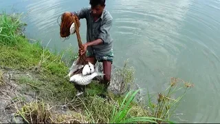 Best Net Fishing for River।Big Catla Fish hunting By Cast Net।Net Fishing in the River (part-67)