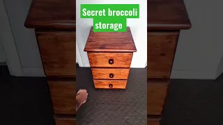 SECRET BROCCOLI STORAGE!