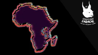 Geopolitical & Security Situation in Africa (2021) | Col. Ret. Chris Wyatt