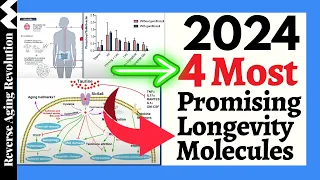2024 - 4 MOST Promising Longevity Molecules You NEED To KNOW