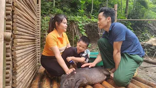 Harvesting papaya together to sell at the market - The boy's father caught a wild boar - Daily life