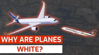 Why are planes WHITE? A Pilot explains!