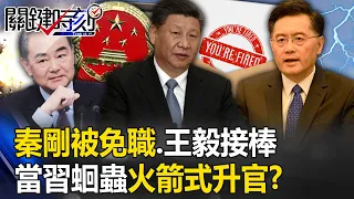 Qin Gang was dismissed and Wang Yi took over the "pro-US and pro-Russia faction" struggle announced