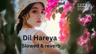 Dil Haareya | SLOWED & REVERB | Arijit Singh | Tanya Maniktala |  Danesh Razvi | Vivian Richard