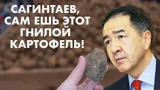 Гнилой картофель Сагинтаева и СПК