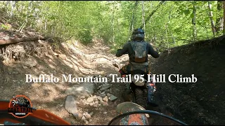 Hatfield McCoy - Buffalo Mountain Trail 95 Hill Climb