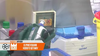 Україну може зачепити  новий штам  COVID-19 - "омікрон"