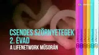 Csendes szörnyetegek - 2. évad