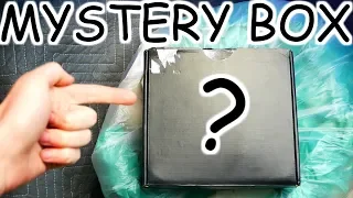 FIRST EVER BLACK *MYSTERY BOX* FOUND!! Gamestop Dumpster Dive Night #880!