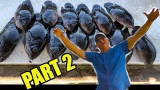 Dangerous Everglades Truck Camping And Fishing For Invasive Exotic Species (PART 2)