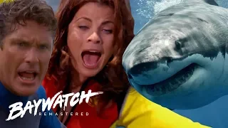 SHARK HUNT! A GREAT WHITE SHARK Attacks Mitch & Caroline! Baywatch Remaster