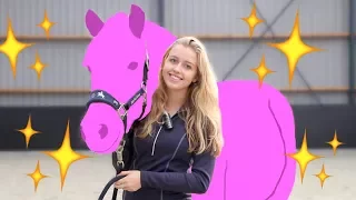 DIT IS MIJN NIEUWE PAARD! | Paarden Zoektocht #4