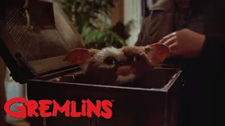 Gremlins: Adiós Billy
