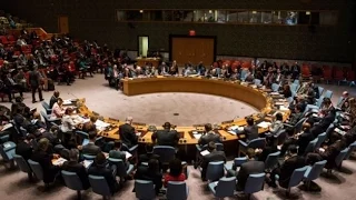Засідання Ради безпеки ООН (17 лютого 2015 року)