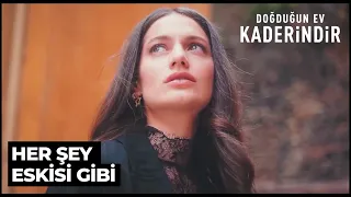 Çocukluğunu Çaldılar Elinden | Doğduğun Ev Kaderindir 42. Bölüm